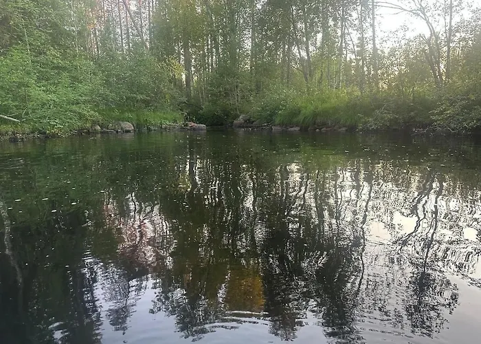 Hébergement de vacances Forestry And Sauna *