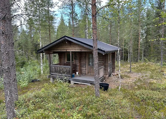 Forestry And Sauna